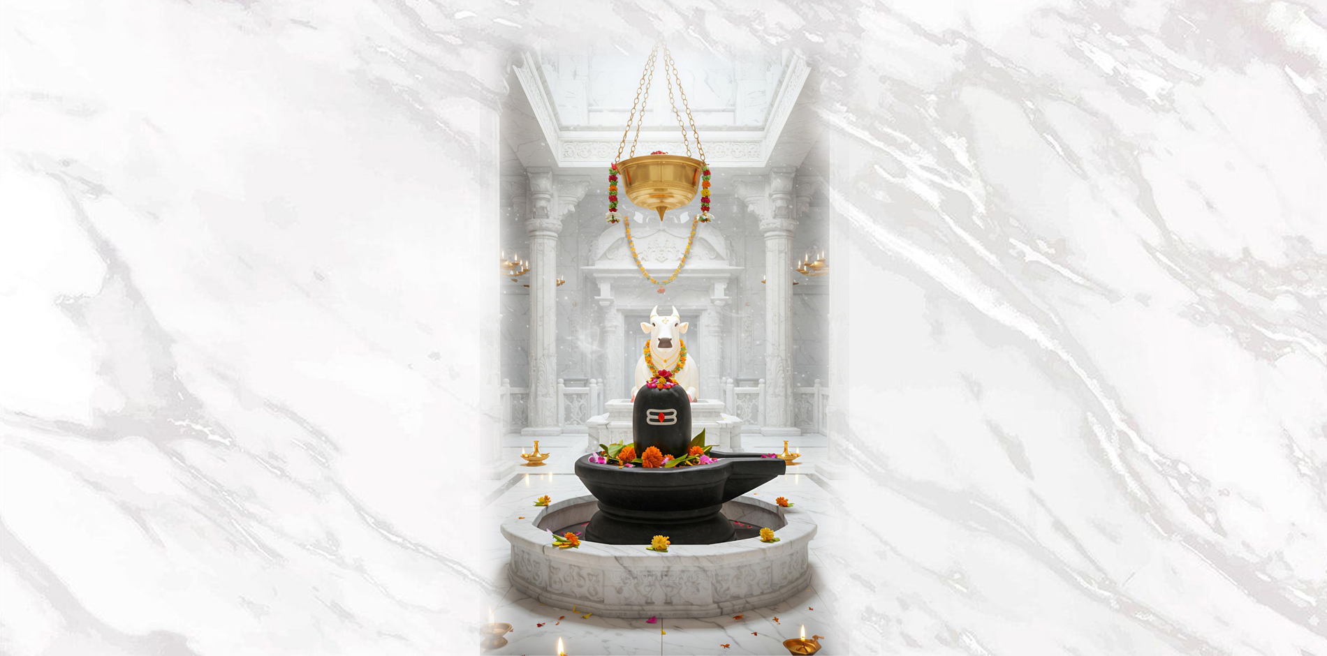 Shop Our New Collection